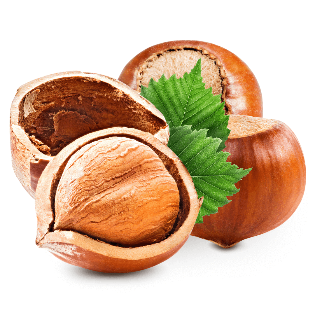 toasted hazelnut (1)